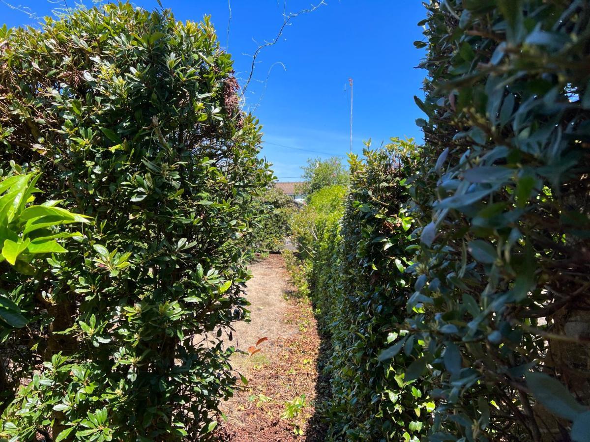 Rosa Do Canto Monte  Exterior photo
