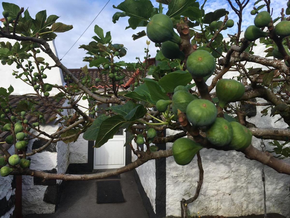 Rosa Do Canto Monte  Exterior photo